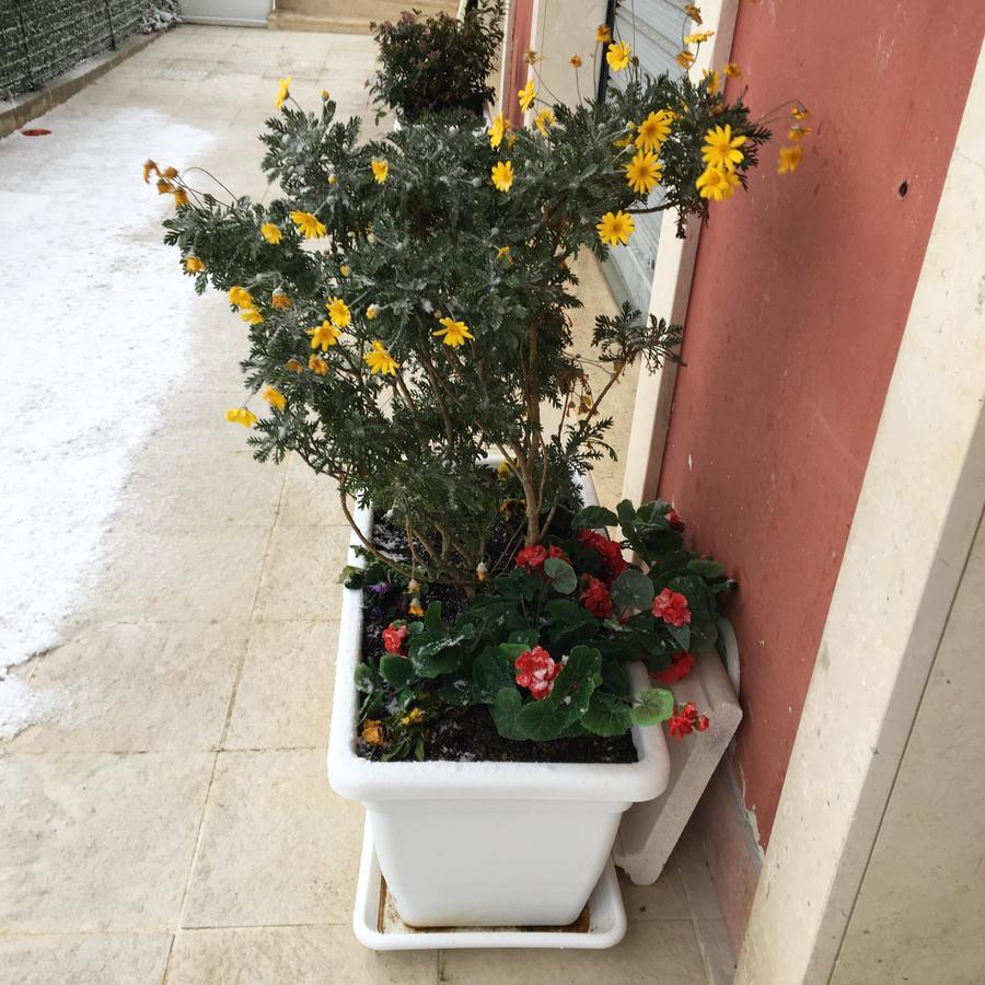 Amaranto Bnb Матера Екстериор снимка